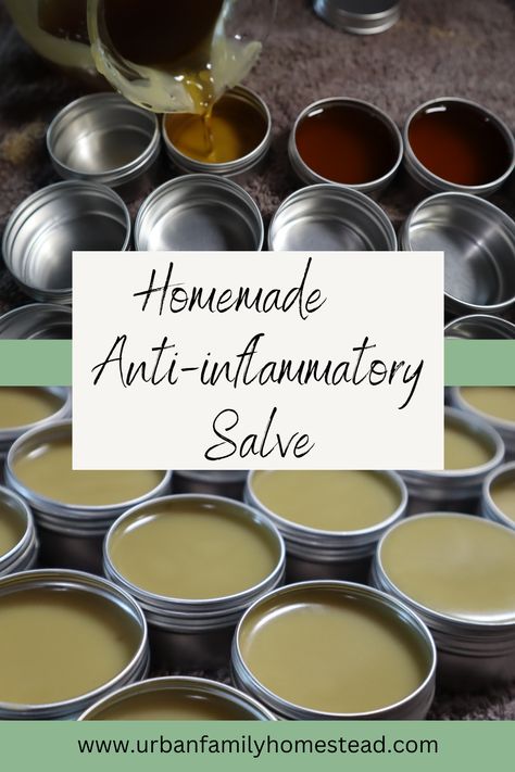 Homemade Healing Salve, Herbal Salve Recipes, Pain Relief Salve, Healing Salve Recipe, Herbal Medicine Cabinet, Homemade Salve, Drawing Salve, Calendula Salve, Sunflower Petals