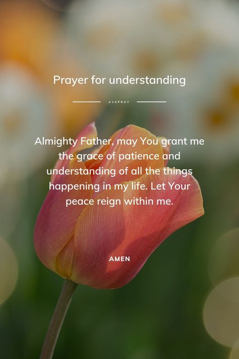 Almighty Father, may You grant me the grace of patience and understanding of all the things happening in my life. Let Your peace reign within me. Amen. Grace And Peace Quotes, Prayer For Understanding, Prayers For Patience, Silent Prayer, Morning Prayer Quotes, Short Prayers, Pray For Peace, Bible Motivation, Peace Quotes