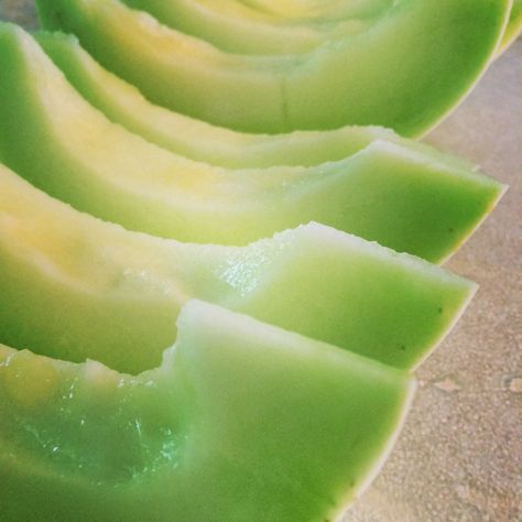 Honey Dew Aesthetic, Honeydew Melon Aesthetic, Honeydew Aesthetic, Melon Musk, Musk Melon, Foodie Pics, Guilty Conscience, Shark Bait, Seasonal Living