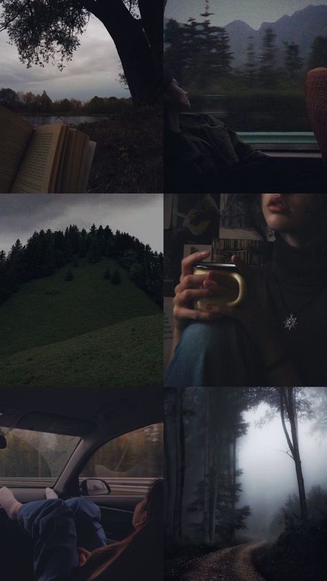 Ambivert Aesthetic, Nature Core, Rainy Day Aesthetic, Dark Nature, Aesthetic Wallpaper Iphone, Academia Wallpaper, Photographie Portrait Inspiration, Creative Instagram Photo Ideas, Dark Academia Aesthetic