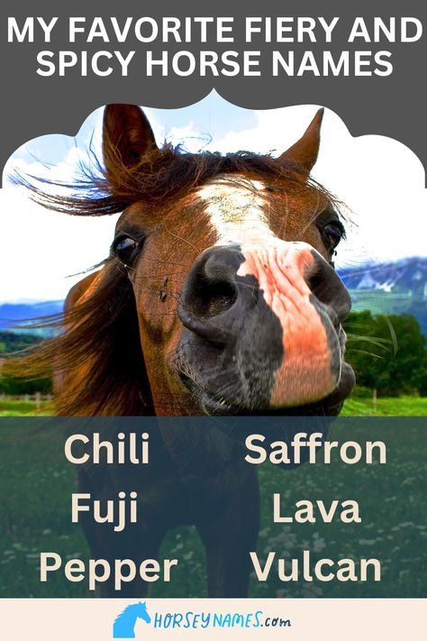 My Favorite Fiery and Spicy Horse Names Farm Name Generator, Funny Horse Names, Minecraft Horse, Aesthetic Horse, Goddess Of The Hearth, Male Horse, Buckskin Horse, Wine Names, Native American Horses