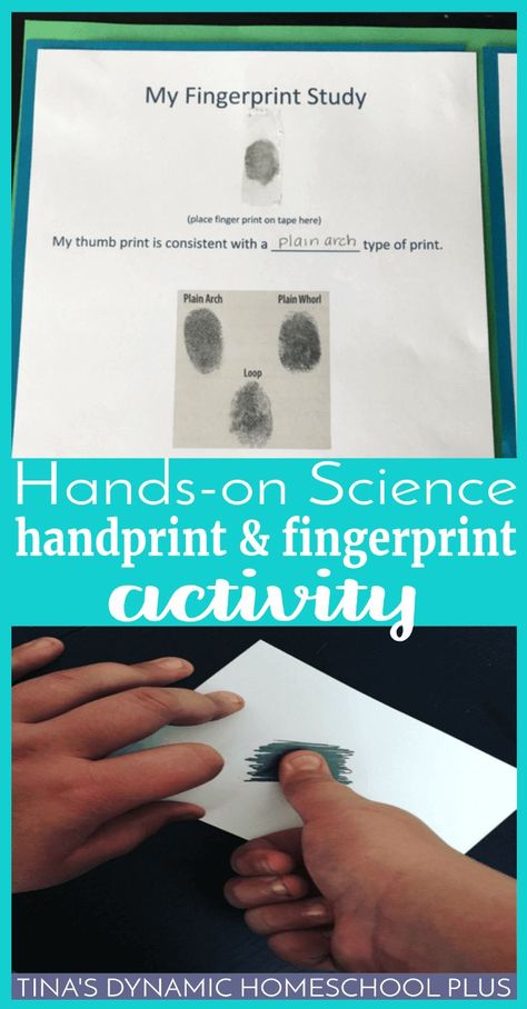 Hands-On Science: Handprint and Fingerprint Activity. What better way to celebrate the uniqueness of our skin than to learn more about our unique fingerprints and palm prints? CLICK HERE to grab the free printable and do this fun hands-on activity! Spy Science Experiments, Fingerprint Science Fair Project, Anatomy Crafts, Fingerprint Activity, Japan For Kids, Palm Prints, Body Science, Handwriting Activities, Learning Differences