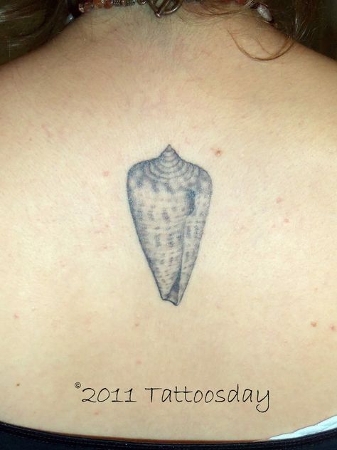 Cone Shell Tattoo, Realism Reference, Cone Tattoo, Shell Tattoo, Seashell Tattoos, Shell Tattoos, New Tattoo Designs, Cone Shell, New Tattoo