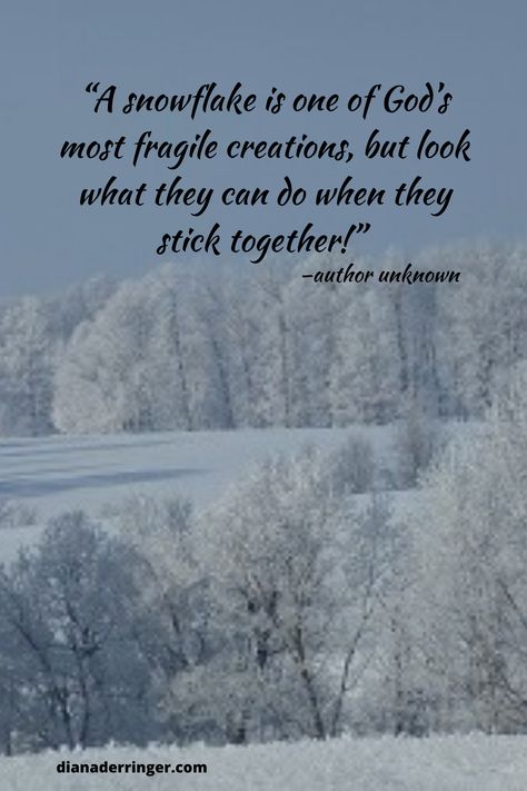 Snowflake Meaning, Snowflake Quote, Peace Photography, Snow Quotes, Storm Quotes, Photography Motivation, Quotes Peace, Spiritual Truth, Words Of Hope