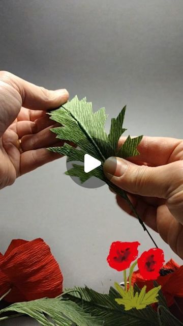 Ling Warlow | Paper Botanist on Instagram: "I am delighted to bring you.... how to make a #paperpoppy Part 2: LEAF  Creating realistic leaves is an essential part of making stunning paper flowers. This reel shows you how to make a leaf from #thepaperwildflower kit 3 : Corn Poppy. Use the same technique to make ther leaves in Kit 1 : WildRoae and Kit 2 : Buttercup  Remember to make sure the grain goes the right way! Always look for the three parallel lines on the templates.  Have fun! I love wildflowers and love to make them, look for them, learn about them. We shouldn't pick wildflowers, ND if we do, they don't last very long. The petals on a real corn poppy will drop within an hour. So if you love wildflowers like me, why not fill your home with paper flowers?!  #paperflowers #paperwildfl Poppy Leaf, Poppy Leaves Template, Poppy Leaves, How To Make Leaves, Crepe Paper Poppies Diy, Poppy Flower Leaves, Crepe Poppy Flower, Crepe Paper Parrot Tulip, Crepe Paper Foxglove Tutorial