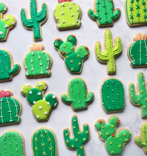 Cactus Royal Icing Cookies, Arizona Cookies Decorated, Cactus Decorated Cookies, Cactus Food Ideas, Cactus Dessert Ideas, Desert Cookies Decorated, Cactus Cookies Decorated, Cacti Cookies, Decorated Cookie Sets