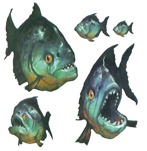 Piranha | Forgotten Realms Wiki | Fandom Piranha Fish Art, Piranha Fish, Swamp Creature, Bulging Eyes, Geography Map, Forgotten Realms, Types Of Fish, Freshwater Fish, Fish Art