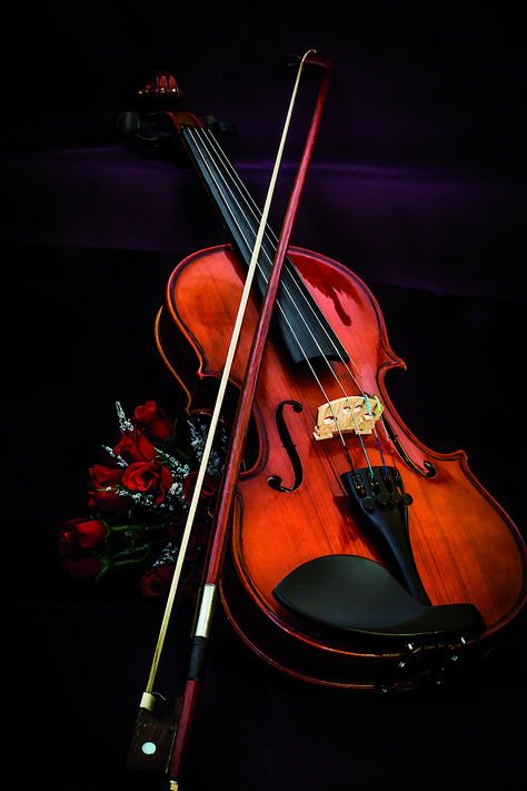 Closeup of a violin #violinday #nationalviolinday #violinmusic #soundofviolin #musicinstruments #pixhill Musical Instruments Photography, Violin Images, Violin Wallpaper, Violin Photo, Violin Image, Violin Photography, Violin Art, Violin Design, Musician Photography