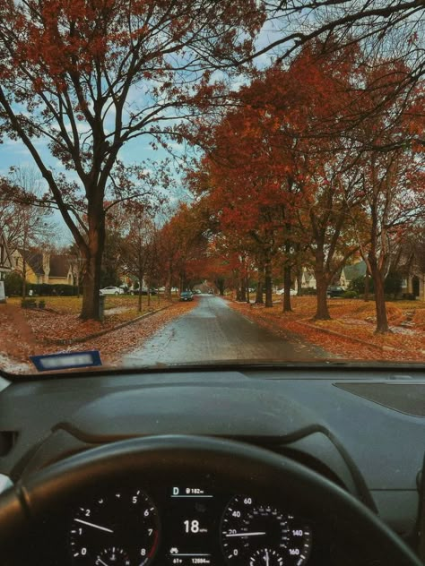 Crisp Fall Morning Aesthetic, Fall Mornings Aesthetic, Fall Aesthetic Notion Cover, Autumn Soft Aesthetic, Fall Aesthetic Vibes, Gilmore Girls Fall Aesthetic, Vintage Fall Aesthetic, Autumn Drive, Fall Homescreen