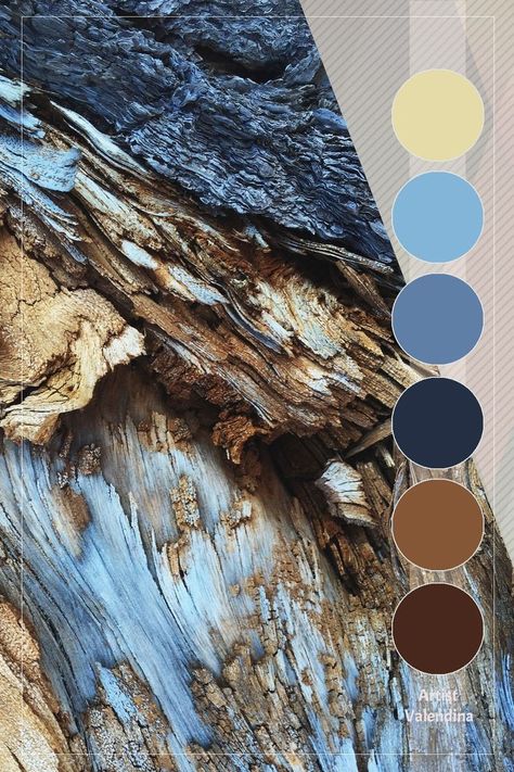 Blue Brown Silver Color Palettes, Brown Blue White Aesthetic, Blue And Brown Color Pallete, Blue Brown Bathroom Ideas, Blue Brown Moodboard, Wooden Colour Palette, Complimentary Colors For Blue, Blue Brown Tan Color Palette, Color Pallete With Brown