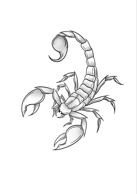 Scorpion Tattoo Outline, Scorpion Tattoo Drawing, Scorpion Stencil, Scorpion Outline, Scorpion Drawing, Scorpion Tattoo Design, Realistic Eye Tattoo, Scorpion Design, Abstract Tattoo Ideas