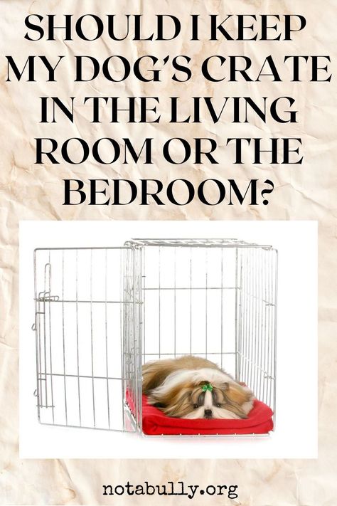 Wondering if you should place your dog's crate in the living room or the bedroom? Get the answer from from a dog training professional. Large Dog Crates In Living Room, Dog Crate Cleaning, Living Room With Dog Crate, Where To Put Dog Crate In House, Decorating Dog Crates, Bedroom With Dog Crate, Dog Crate In Bedroom Ideas, Puppy Apartment Ideas, Dog Crate In Living Room