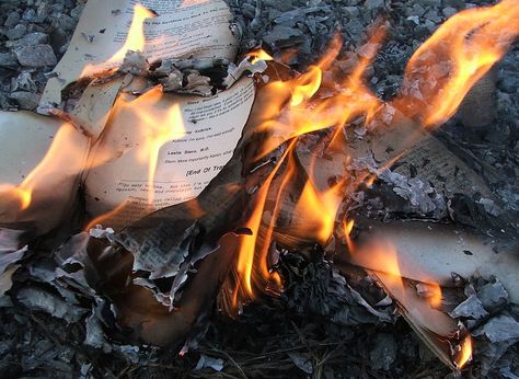 Photo: book burning. Credit: LearningLark; Wikimedia Commons. Read more on the GenealogyBank blog: “Book Burning in Stamford, Connecticut, in 1904?” https://blog.genealogybank.com/book-burning-in-stamford-connecticut-in-1904.html Inkheart Aesthetic, Serena Joy, These Broken Stars, Eliza Schuyler, House Of Leaves, Book Burning, Markus Zusak, Fahrenheit 451, The Book Thief