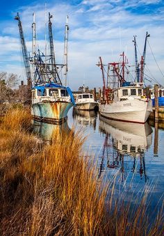 Shrimp Boats, Working Boat, Shrimp Boat, Fishing Vessel, Old Boats, Boat Art, Boat Painting, Tug Boats, Tall Ships