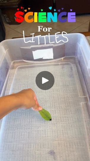 1.8K views · 5.9K reactions | Check out the Leaf Propelled by Ink Experiment! 🖋️ It’s easy to set up and mesmerizing to watch. 

Simply grab a container with water (like a bowl or plate), some leaves, and disassemble pens to add ink to the leaves. This phenomenon is due to the Marangoni effect, where ink’s lower surface tension pulls the leaf forward against the water’s larger surface tension. Dive into this science exploration with your kids! 🌿 Save this idea to try later! ⤵️

🎥: @ccandlaylay

Click the link in our bio to find more exciting science experiments and educational resources for homeschooling! 📚✨ | Parent Powered Learning 🧡 | homeschoolacademypub · Original audio Toddler Science Experiments, Preschool Activities Toddler, Surface Tension, Kid Experiments, Toddler Arts And Crafts, Easy Science Experiments, Stem For Kids, Easy Science, Kids Learning Activities