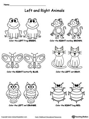 Help your child practice recognizing left from right with "Left And Right Animals" printable worksheet. Your child will color the animal either on the left or on the right based on the instructions. Left And Right Worksheet Preschool, Teaching Left And Right, Left And Right Worksheets, Left Or Right, Animal Worksheets, Kindergarten Worksheets Printable, School Worksheets, Free Preschool, Preschool Curriculum