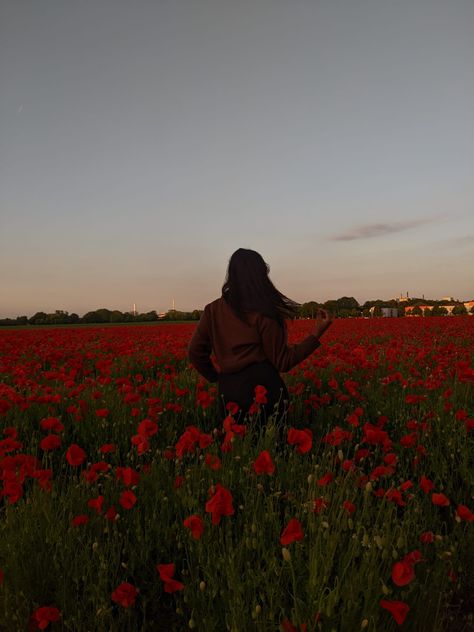 Red Poppy Flower Aesthetic, Field Of Roses Aesthetic, Rose Field Aesthetic, Red Rose Field, Sitting In A Flower Field, Girl In Flower Field, Red Flowers Aesthetic, Rose Field, Laptop Background