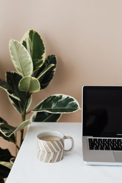 WORK SPACE WITH INDOOR PLANT AND COFFEE Laptop Organization, Digital Course, Healthy Work, Hex Colors, Branding Photos, Background Pictures, Complementary Colors, Design Digital, Passive Income