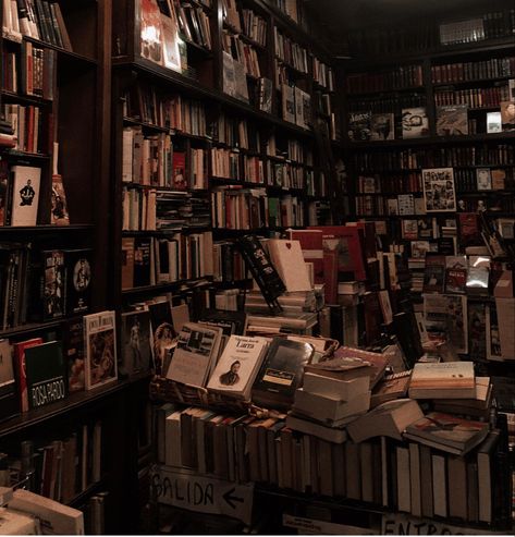 Dark Academia Book Store, Vellichor Aesthetic, Dark Bookstore Aesthetic, Antiquarian Aesthetic, Brown Book Aesthetic, Ramona Core, History Books Aesthetic, Bookstores Aesthetic, Serafina Aesthetic