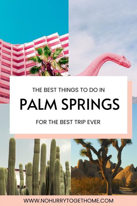 Looking for the best things to do in Palm Springs? In this guide, you'll find a list of the best things to do in Palm Springs, including photo spots, day trips, activities, attractions, and more. Best Things To Do In Palm Springs, Palm Springs In February, Palm Springs Day Trip, Palm Springs California Things To Do In, Palm Springs Activities, Palm Springs To Do, Palm Springs Things To Do, Things To Do In Palm Springs, Palm Dessert