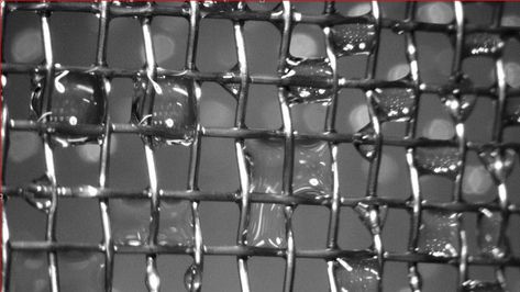 Coating a mesh net in titanium dioxide can help filter dirty fog molecules. Credit: ETH Zurich / Ritwick GhoshHarvesting water from fog isn't difficult, but cleaning it can be. This simple new metal lattice does just that. The post Titanium dioxide-coated mesh can purify contaminated fog appeared first on Popular Science. Eth Zurich, Metal Lattice, Water Pollution, Popular Science, Mesh Netting, Titanium Dioxide, New Metal, Water Droplets, Power Plant