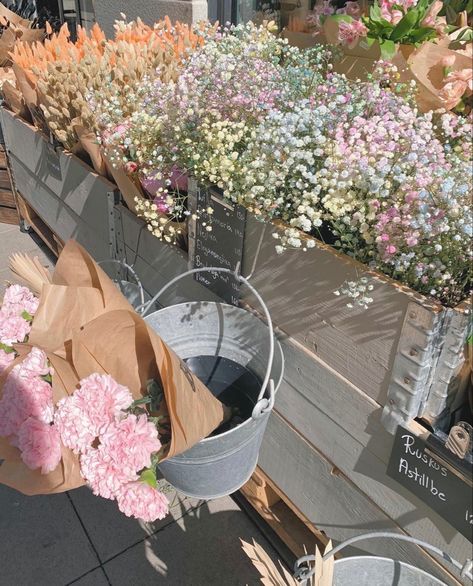 #summer #flowers #stockholm #aesthetic Stockholm Aesthetic Pictures, Stockholm Summer Aesthetic, Stockholm Moodboard, Stockholm Pictures, Scandinavian Mood Board, Stockholm Lifestyle, Stockholm Summer, Summer Stockholm, Stockholm Spring