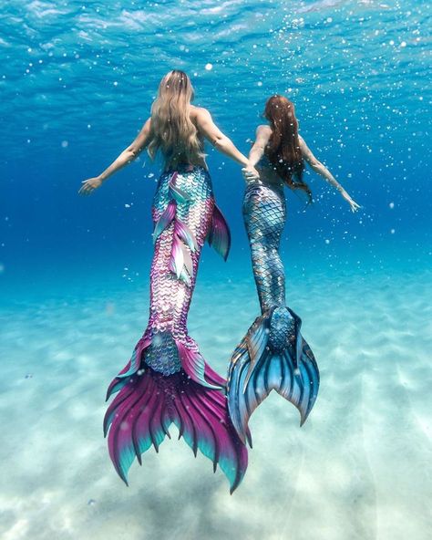 ✨“True friendship takes us by the hand and reminds us we are not alone in the journey.”✨🌊💙 Tag a friend below who has been there for you in… Cariba Heine, Realistic Mermaid Tails, Fin Fun Mermaid Tails, Realistic Mermaid, Mermaid Stories, Fin Fun Mermaid, Mermaid Photography, Silicone Mermaid Tails, Mermaid Stuff