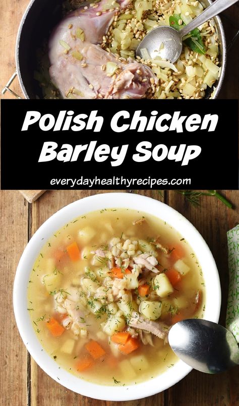 Chicken barley soup ('krupnik') is a traditional Polish dish, satisfying and simple to make, perfect to enjoy during colder months. It is made using pearl barley, root vegetables and a small amount of porcini mushrooms. #polishrecipes #chickensoup #barleysoup #chickenbarley #wintersoup #everydayhealthyrecipes Chicken Barley Soup Recipe, Chicken Barley, Chicken Barley Soup, Barley Soup Recipe, Polish Chicken, Dairy Free Breakfasts, Pearl Barley, Barley Soup, Porcini Mushrooms