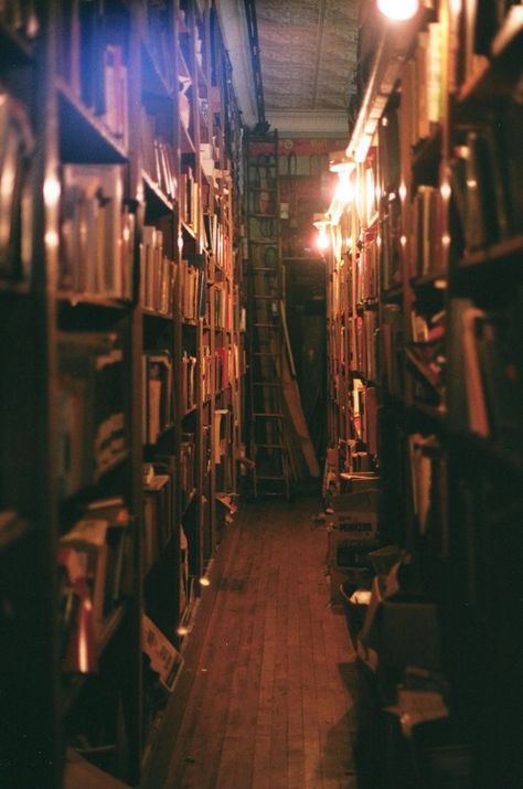 Библиотека внутри. таинственный коридор Lots Of Books, Dream Library, Library Aesthetic, Dark Academia Aesthetic, Academia Aesthetic, Book Nooks, Library Books, I Love Books, Book Aesthetic