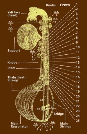 The various parts of the #Indian #Veena Veena Instrument Aesthetic, Carnatic Music Aesthetic, Veena Instrument, Sitar Instrument, Hindustani Classical Music, Culture Of India, Instrument Craft, Indian Musical Instruments, Musical Instruments Drawing