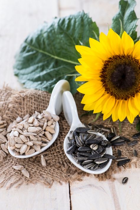 Sunflower seeds Harvest Pictures, Seed Benefits, Sunflower Seed Oil, Sunflower Designs, Seed Salad, Amazing Food Decoration, Olive Relish, Towards The Sun, Romaine Lettuce Salad