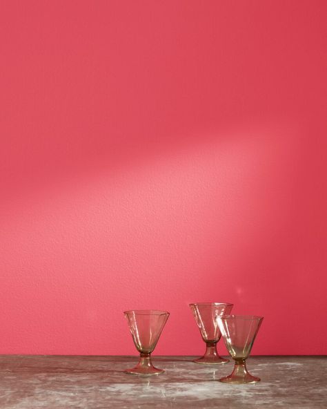 Hot Pink Paint Colors, Fuchsia Bedroom, Pink Wallpaper For Walls, Hot Pink Bedroom, Hot Pink Paint, Red Wall Paint, Hot Pink Bedrooms, Paint Color Swatches, Pink Accent Walls