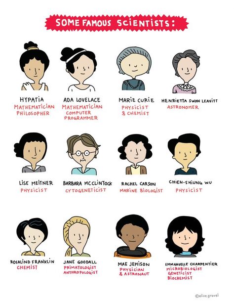 This is another poster I would put up after the lesson to serve as a remainder for students. KG Lise Meitner, Barbara Mcclintock, Elise Gravel, Rosalind Franklin, Katherine Johnson, Famous Scientist, Rachel Carson, Women Scientists, Computer Programmer