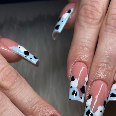 sadie 🤍 on Instagram: "blueberry cow 🫐🐄" Blueberry Cow Nails, Blue Cow Print Nail Ideas, Blue Cow Nails, Cow Nail Designs, Blueberry Cow, Cow Nails, Blue Cow, Mom Wedding, Trendy Nails