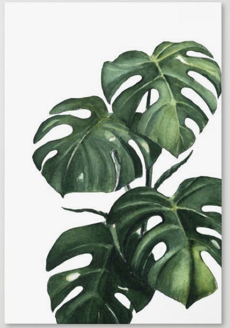 Monstera Watercolor, School Wall Art Ideas, Paint Poster, Optical Illusion Tattoos, Illusion Tattoos, Optical Illusion Tattoo, Wall Murals Painted, Watercolor Plants, Monstera Plant