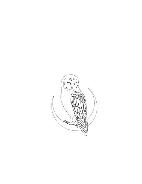 Owl On Moon Tattoo, Owl Small Tattoo, Owl Tattoo Aesthetic, Small Owl Drawing, Single Line Owl Tattoo, Owl Of Athena Tattoo, Owl Line Art Tattoo, Small Owl Tattoos For Women Simple, Dainty Owl Tattoo