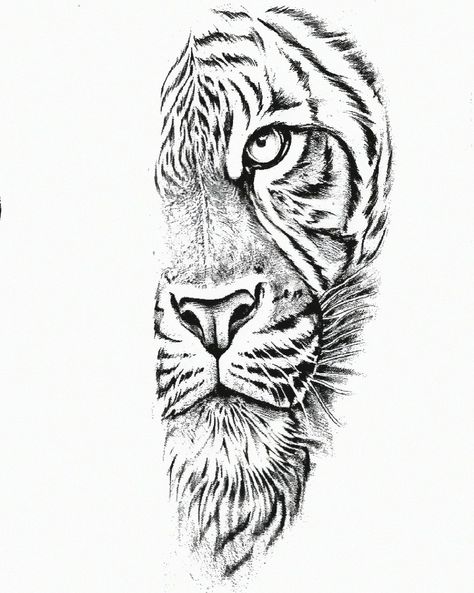 Tiger Head Tattoo Stencil, Arm Stencil For Tattoo, Lion Stencil Tattoo, Lion Head Tattoo Stencil, Tatoos Woman Chest, Tiger Tattoo Sketch, Realistic Tattoo Stencil, Tiger Tattoo Stencil, Realism Tattoo Stencil