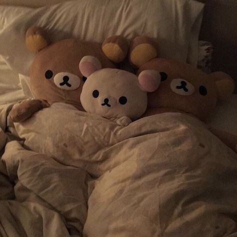 Teddy Bears, Bears, Bed, White