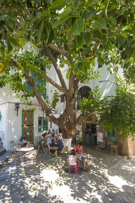 Tanger, la perle marocaine Tanger Morocco, Tangier, Summer Bucket Lists, Casablanca, Travel Dreams, Morocco, Travel Inspiration, Bucket List, The Creator