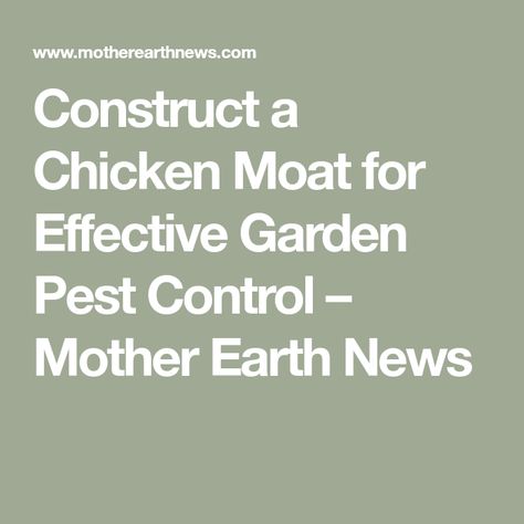 Construct a Chicken Moat for Effective Garden Pest Control – Mother Earth News Chicken Moat, Insect Eating Plants, Garden Cart, Garden Pest Control, Mother Earth News, Chicken Runs, Garden Pests, A Chicken, Pest Control