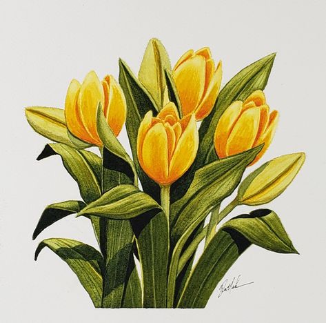 Yellow Flowers Drawing, Yellow Vibe, Cute Easy Paintings, Soft Pastels Drawing, Pre Raphaelite Art, Painted Coffee Mugs, Botanical Flower Art, Tulips Art, Watercolor Painting Techniques