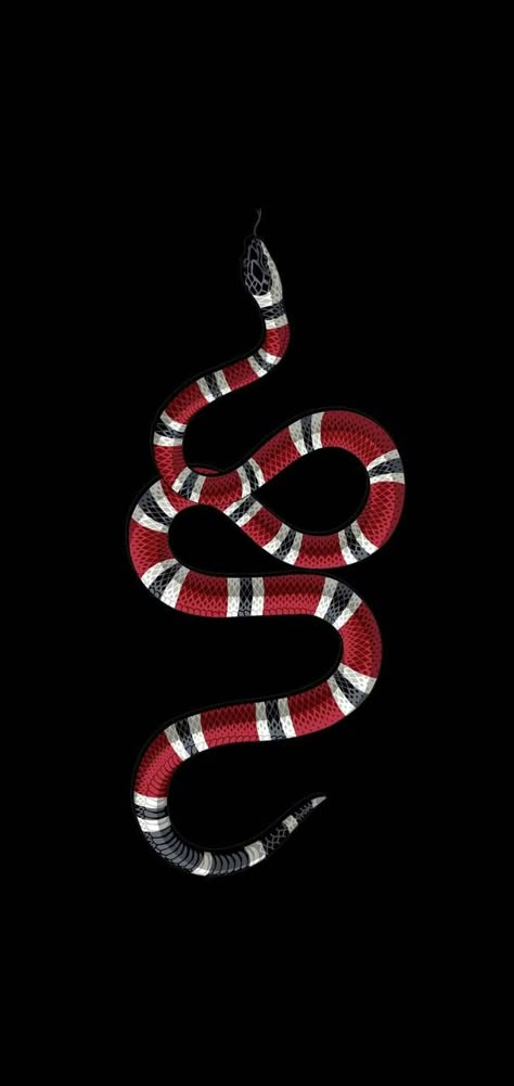 Gucci Black Wallpaper, Snake Background Wallpapers, Black Gucci Wallpaper, Gucci Snake Wallpaper, Red Snake Wallpaper, Snake Wallpaper Iphone, Black Snake Wallpaper, Snake Background, Iphone Wallpaper Rock