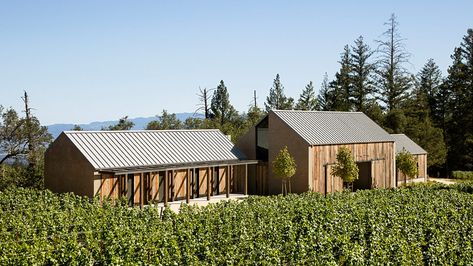 Field Architecture designs gabled house overlooking California vineyard Winery Architecture, Vineyard House, California Vineyards, Piscina Interior, Timber Beams, Luxe Interiors, Modern Barn, Interiors Design, Barn Style