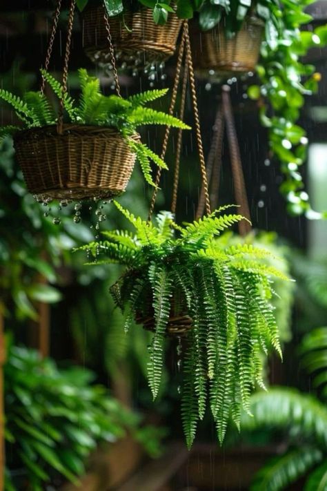 Plants For Basement, Cozy Dark Academia, Dark Academia Living Room, Academia Living Room, Plant Jungle, Indoor Plant Ideas, Pot Diy, Plant Styling, Nursery Garden