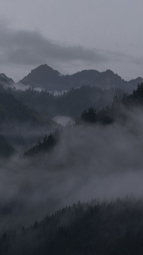 Misty Mountain Wallpaper, Foggy Mountains Wallpaper, Powerless Aesthetic, Misty Woods, Mountains Aesthetic, Foggy Mountains, Rain Wallpapers, View Wallpaper, Dark Nature Aesthetic