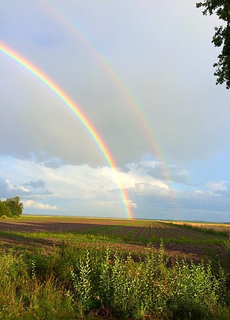 Double Rainbow Aesthetic, Double Rainbows, Aquarium Pictures, Nature Desktop, Rainbow Drawing, Rainbow Pictures, Rainbow Painting, Double Rainbow, Rainbow Sky