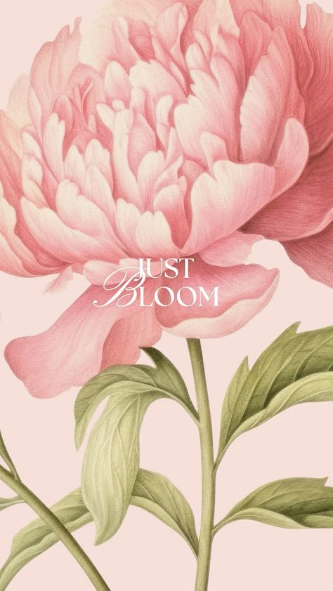 Bloom, positivity  quote Facebook story template | free image by rawpixel.com / Aew Pink Motivational Wallpaper, Flower Design Wallpaper, Flower Wallpaper Aesthetic, Bloom Aesthetic, Spring Iphone Wallpaper, Positive Wallpaper, Facebook Story, Wallpaper Quote, Positive Wallpapers