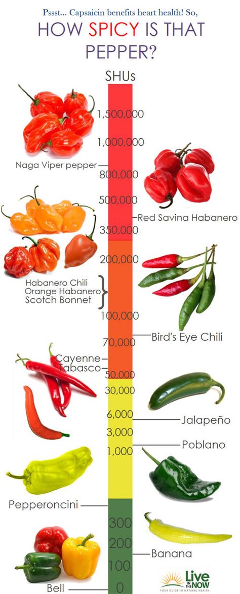 varieties of peppers with pictures | ... Understanding Chilli Pepper and Making Of Chilli Sauce | GUAI SHU SHU Capsaicin Benefits, Herb Growing, Birds Eye Chili, Types Of Peppers, Food Charts, Food Info, Chilli Pepper, Hot Spicy, Chilli Sauce