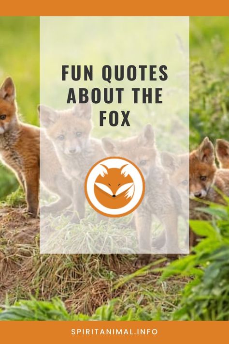 Fox Quotes Inspirational, Fox Quotes Wisdom, Quotes About Foxes, Fox Spirit Animal Meaning, Fox Sayings, Fox Puns, Fox Spirit Animal, Fox Facts, Fox Quotes