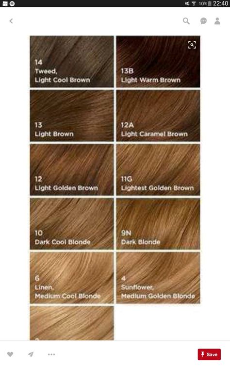 Carrot Brown Hair, Types Of Brown Hair Color Shades, Light Brown And Blonde Highlights, Types Of Blonde Hair Shades, Blonde Color Chart, Butterscotch Hair, Lighter Brown Hair, Hairstyle Tools, Blonde Light Brown Hair